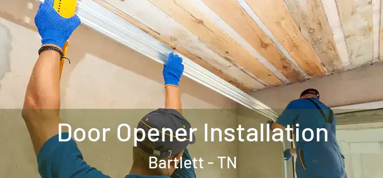 Door Opener Installation Bartlett - TN