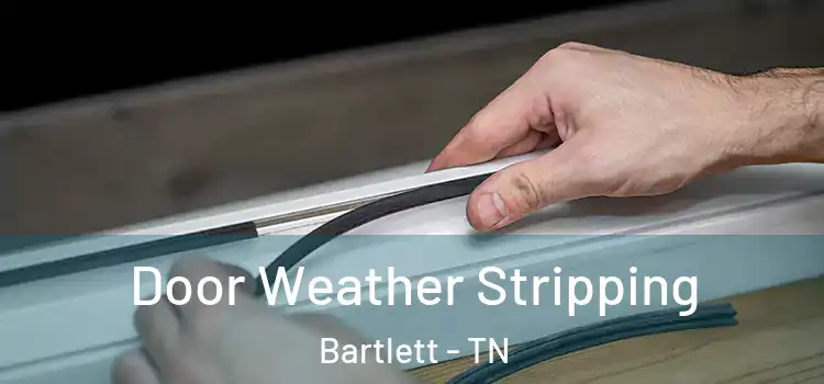 Door Weather Stripping Bartlett - TN