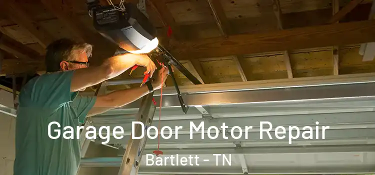  Garage Door Motor Repair Bartlett - TN