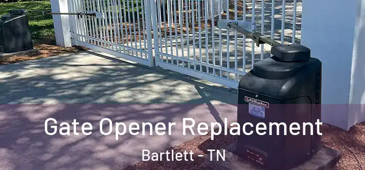 Gate Opener Replacement Bartlett - TN