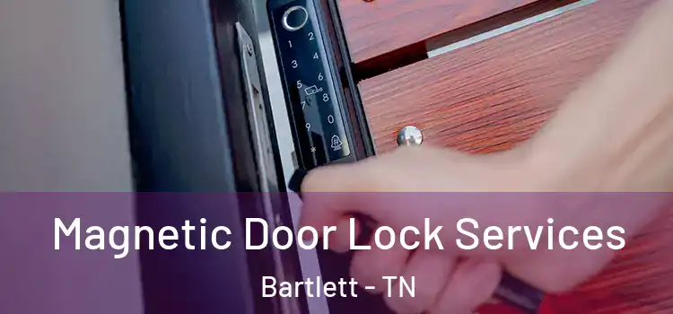 Magnetic Door Lock Services Bartlett - TN